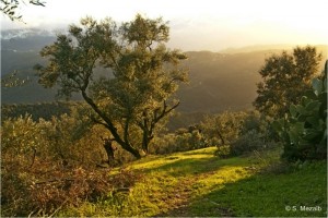 Ighil Bougueni - Coucher du soleil - Salem Mezaib