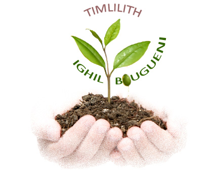 Logo Timlilith IB photo