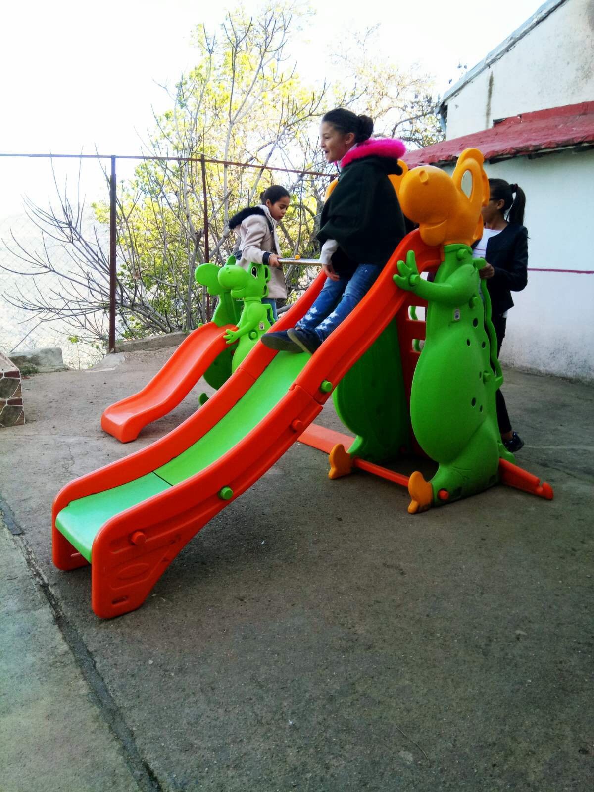 IMG 0534