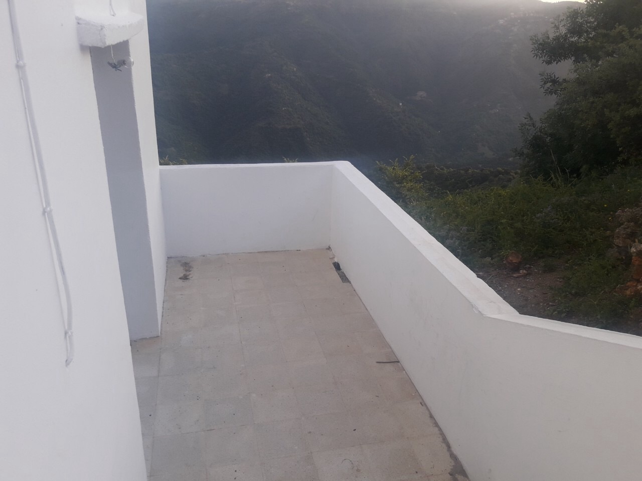 IMG 7871